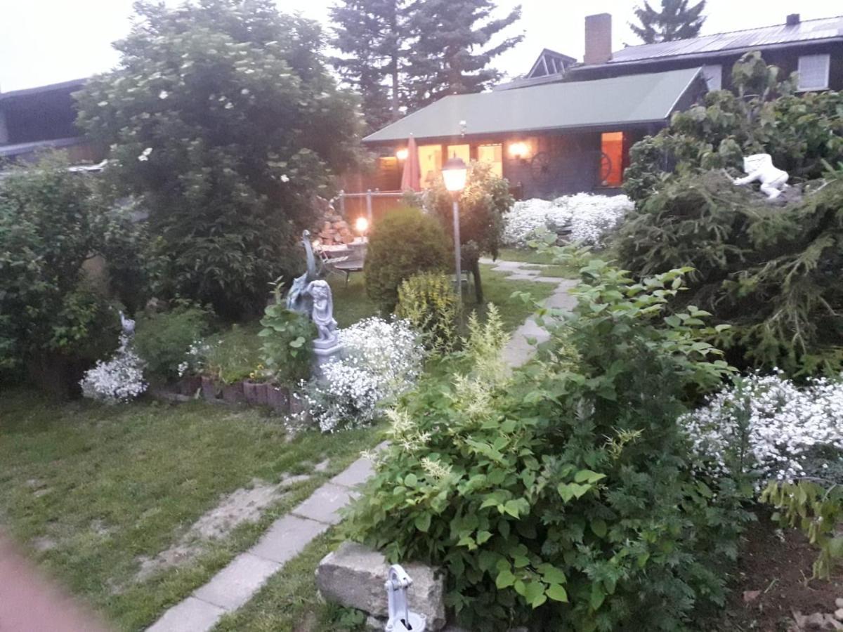 Vila Ferienhaus Schulenberg Friedrichsbrunn Exteriér fotografie