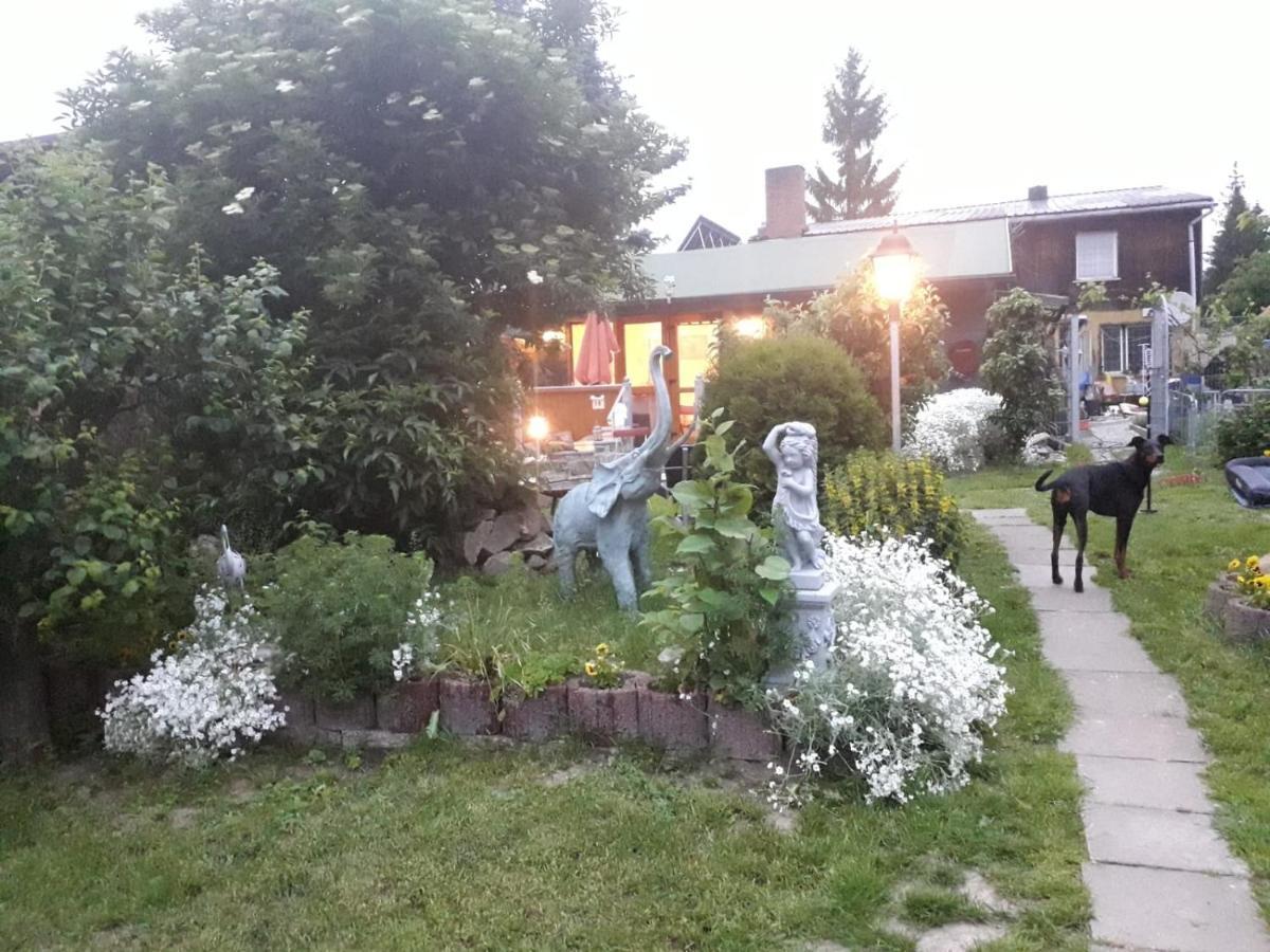 Vila Ferienhaus Schulenberg Friedrichsbrunn Exteriér fotografie